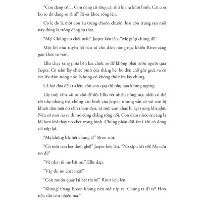 Nắng Xuyên Qua Vòm Lá