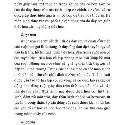Nông Nghiệp Xanh Và Sạch - Nuôi Vịt Sạch