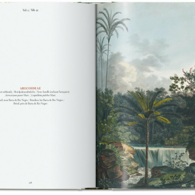 Artbook - Sách Tiếng Anh - Martius. The Book of Palms. 40th Ed.