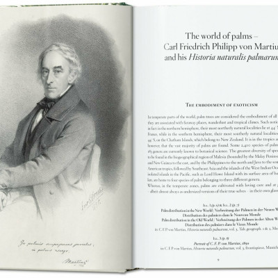 Artbook - Sách Tiếng Anh - Martius. The Book of Palms. 40th Ed.