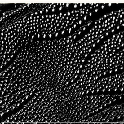 Túi clutch nữ cao cấp da thật ELLY – EC38 màu đen 