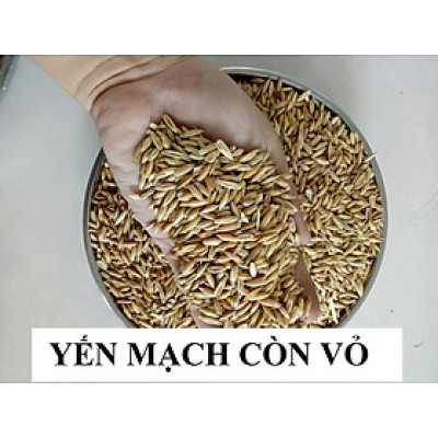 hạt yến mạch nguyên vỏ nhiều chất dinh dưỡng làm thức ăn cho chim, vẹt