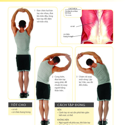 Khỏe Đẹp Với Các Bài Tập Cơ Bản