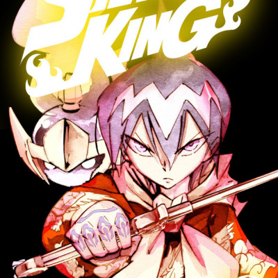 SHAMAN KING 9