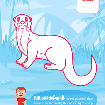 Con Tô Màu - Thám Hiểm Amazon _MEGA	