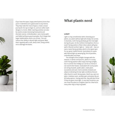 Plant Style: How To Greenify Your Space