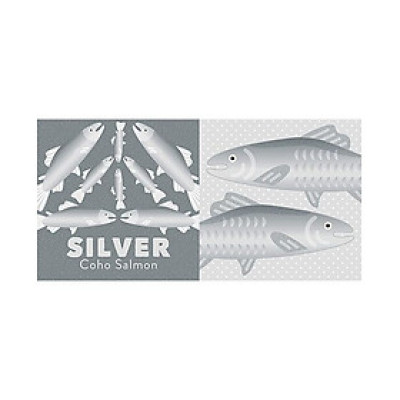 Colors of The Pacific Northwest