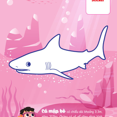 Con Tô Màu - Thám Hiểm Amazon _MEGA	