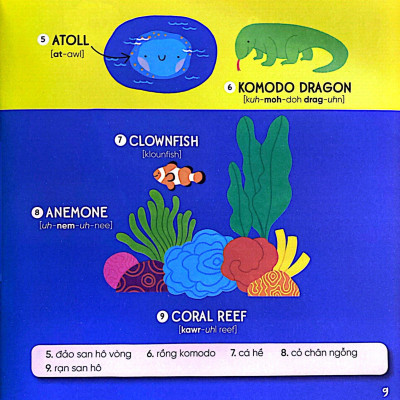 Steam Words Nature - Từ Vựng Về Tự Nhiên