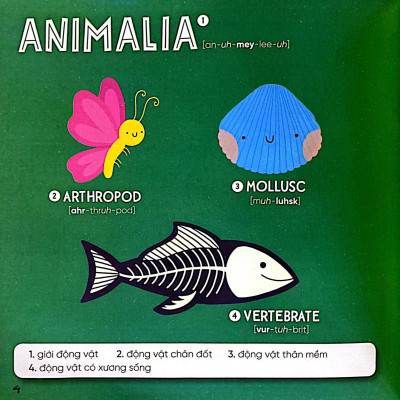 Steam Words Nature - Từ Vựng Về Tự Nhiên