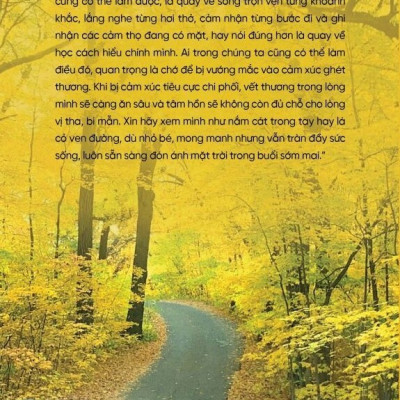 Trọn Vẹn Từng Khoảnh khắc - Thi Lâm - (bìa mềm)