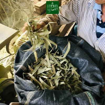 Nhang Thảo Mộc Sạch Mix Quế Khuynh Diệp Hương Bài Loại 23-30-40cm Hộp 100 Thanh Yên 100 % Tự Nhiên Thờ Cúng Thư Giãn