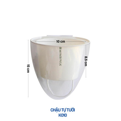 Chậu tự tưới treo tường đáy trong suốt Monrovia, chất liệu nhựa PP,  phù hợp mọi không gian nhà