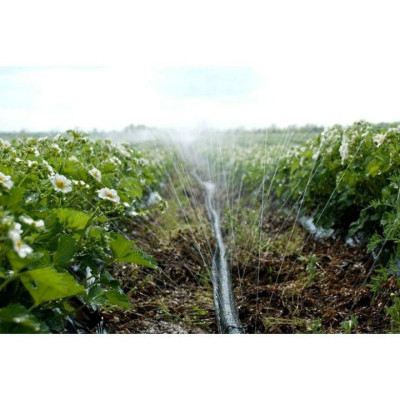 Dây tưới phun mưa phi 34mm 150M