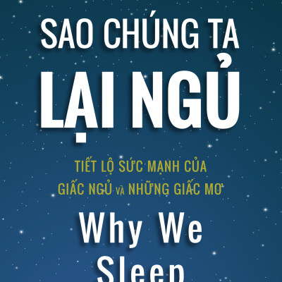 Combo Sao chúng ta lại ngủ + Làm lại từ đầu