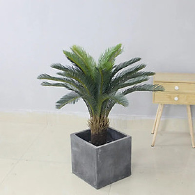 Cây vạn tuế giả - Size từ 90cm đến 110cm - Cây giả, hoa lụa Decor trang trí nhà cửa