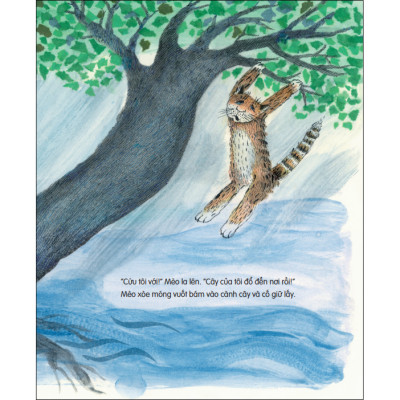 Lại Đây Nào! Mèo Bảo