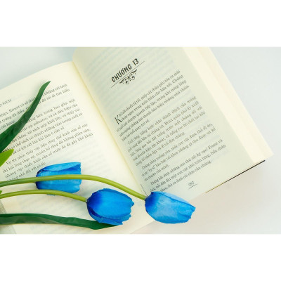 Sách - Lớn Lên Trên Đảo Vắng - Johann David Wyss - Đinh Tị Books