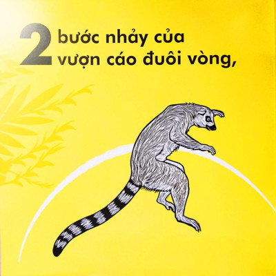 Chuột Túi Nhảy Xa Chừng Nào?