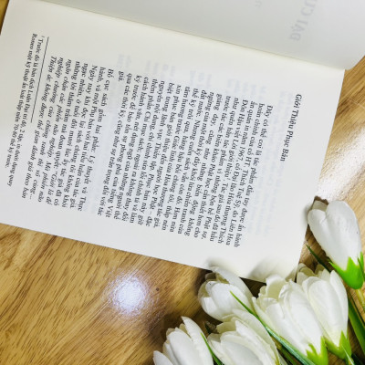 Đại Cương Thiền Quán -Tuệ Sỹ