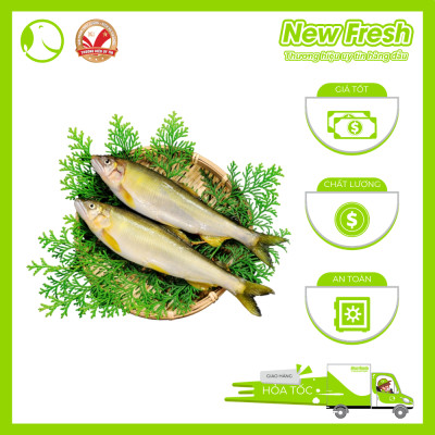 Cá Đắng Có Trứng Nhật Bản - Hộp 1kg (10-12 con)