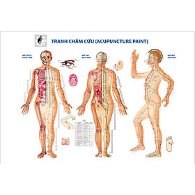 (HCM)Tranh dán tường dưỡng sinh tâm thể,tranh châm cứu,tranh spa có sẵn keo