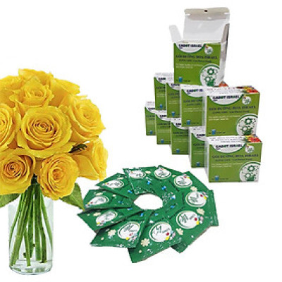 Bột Dưỡng Hoa Hồng Lâu Tàn (Set 10 hộp 1 hộp 10 gói tiết kiệm) giúp hoa luôn tươi mới, cánh hoa hồng cứng cáp gấp 2 lần và trong 14 ngày không thối nước hay cắt tỉa gốc hoa (hiệu Longlife nhập khẩu Israel)