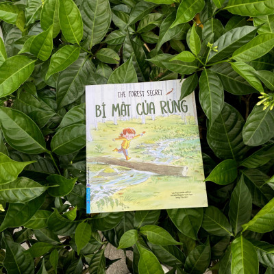 Bí Mật Của Rừng 