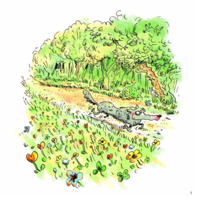 Sói Xám Xốn Xang