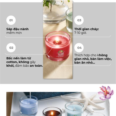 Nến ly mini Yankee Candle (37g) - Balsam & Cedar