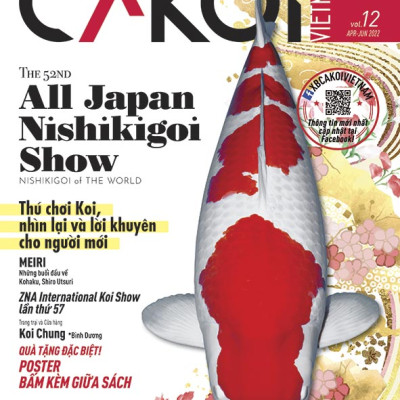 Cá Koi Vietnam - Combo 3 cuốn (Tập 10, 11, 12)