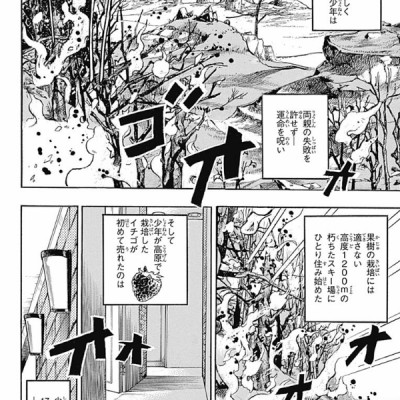 ジョジョリオン 19 (ジャンプコミックス) - JOJORION 19