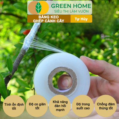 Keo Ghép Cành GreenHome, Dụng cụ làm vườn, Bảo Vệ Mối Ghép Nhanh Liền, Tự Dính, Tự Huỷ, Dễ Sử Dụng