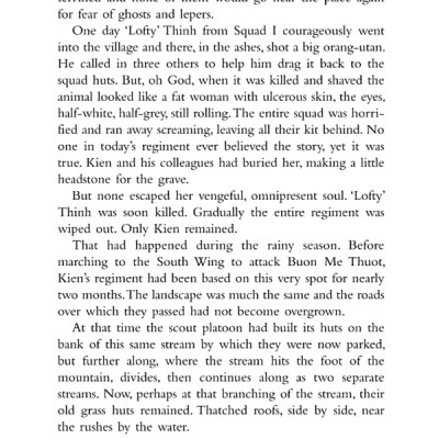 The Sorrow Of War (Paperback)