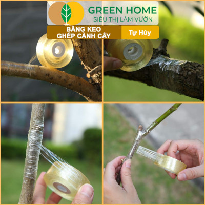 Keo Ghép Cành GreenHome, Dụng cụ làm vườn, Bảo Vệ Mối Ghép Nhanh Liền, Tự Dính, Tự Huỷ, Dễ Sử Dụng