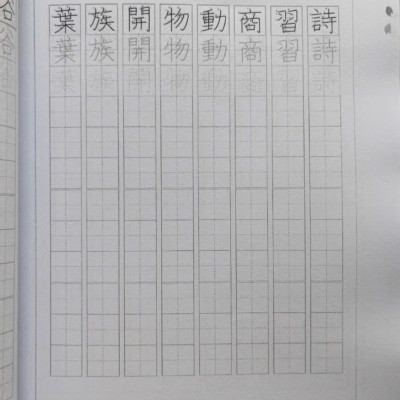 SÁCH TIẾNG NHẬT KANJI, ĐẶT CÂU TỪ VỰNG, LUYỆN VIẾT KANJI