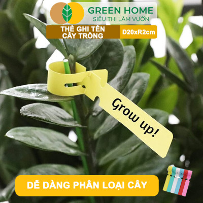 10 Thẻ Ghi Tên Cây GreenHome, D20xR2cm, Dụng Cụ Làm Vườn, Nhựa PVC, Dễ Lắp Đặt, Tái Sử Dụng