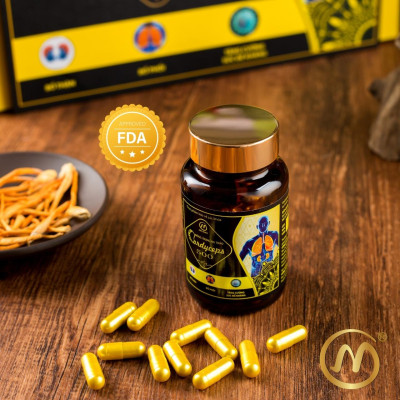 COMBO 4 hộp Đông Trùng Hạ Thảo MaiLands Cordyceps 500 (60 viên)