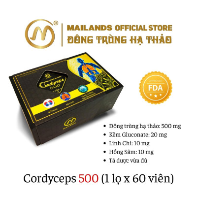 COMBO 4 hộp Đông Trùng Hạ Thảo MaiLands Cordyceps 500 (60 viên)