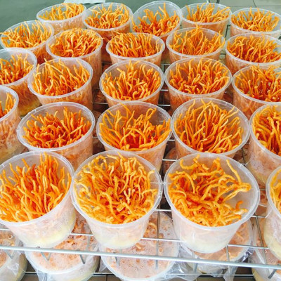 Đông Trùng Hạ Thảo Khô TAKICHI (50 gram)