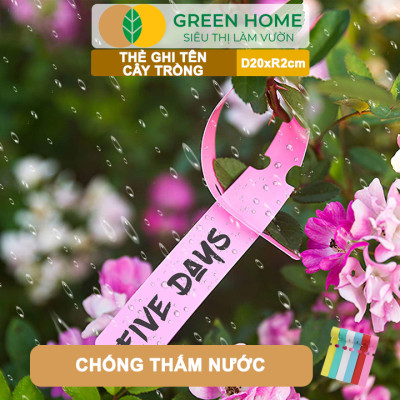 10 Thẻ Ghi Tên Cây GreenHome, D20xR2cm, Dụng Cụ Làm Vườn, Nhựa PVC, Dễ Lắp Đặt, Tái Sử Dụng