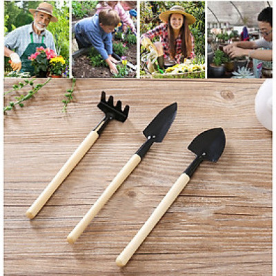 Bộ Dụng Cụ Làm Vườn Mini 3 Món (Cuốc, Xẻng, Cào) Cán Gỗ Tiện Lợi Cho Việc Trồng Chăm Sóc Cây Cảnh, Sen Đá, Xương Rồng, Bonsai
