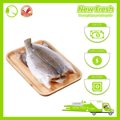 Cá Đù Một Nắng - Túi 500Gr