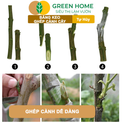 Keo Ghép Cành GreenHome, Dụng cụ làm vườn, Bảo Vệ Mối Ghép Nhanh Liền, Tự Dính, Tự Huỷ, Dễ Sử Dụng