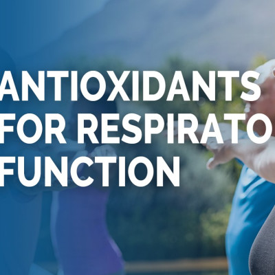 Clearwayz-Thực phẩm bảo vệ sức khỏe: “Trợ thủ đường thở và bệnh hô hấp mãn tính”  - Tăng Đề Kháng - Sức Khoẻ Đường Hô Hấp: Hỗ trợ bệnh hen suyễn, Xoang, phổi, Ngáy ngủ, Sức khỏe mũi, Cải thiện đường thở