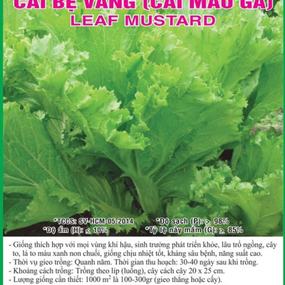 Hạt giống Cải bẹ Mào Gà - Cải bẹ vàng VTS159