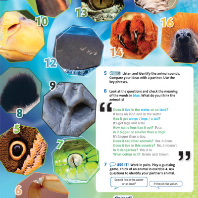 English Plus: Level 1: Student