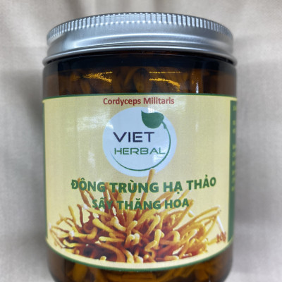 Đông trùng hạ thảo sấy thăng hoa hũ 10g tăng cường sức khỏe sức đề kháng